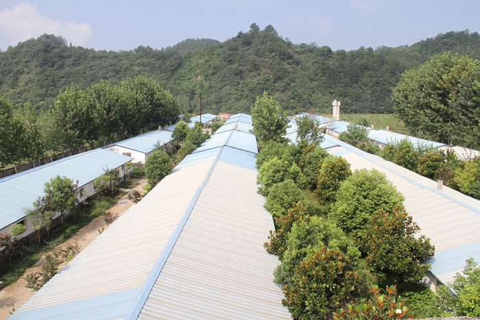 養殖基地