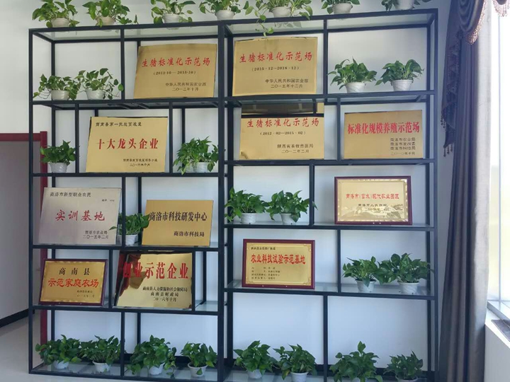 公司榮譽