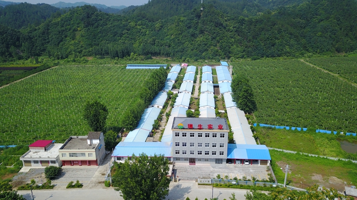 基地全景