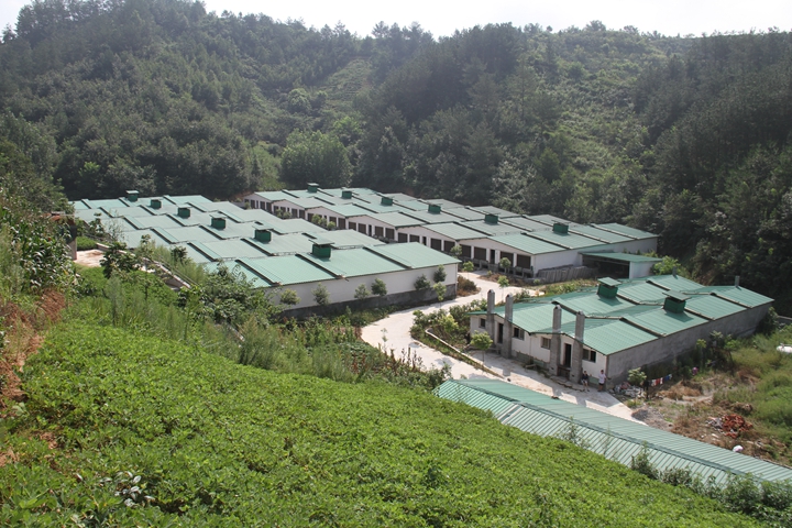 商品豬養殖基地